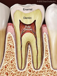 Root Canal Treatment Rockville, MD